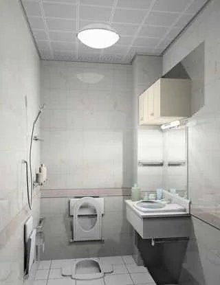 老妈要蹲便,老婆要坐便,于是买了蹲坐两用马桶