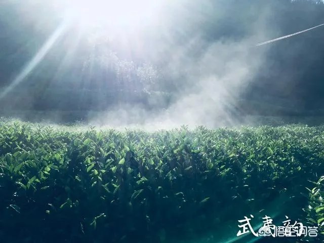 现代农业产业园该如何创建？