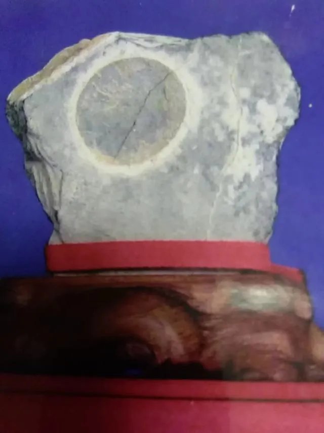 日食预示着什么？