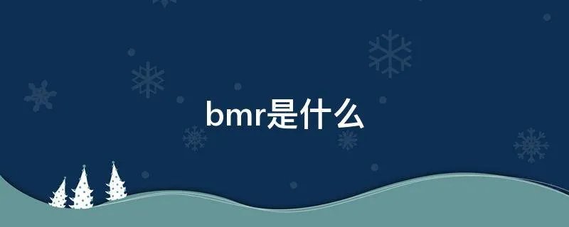 bmr是什么