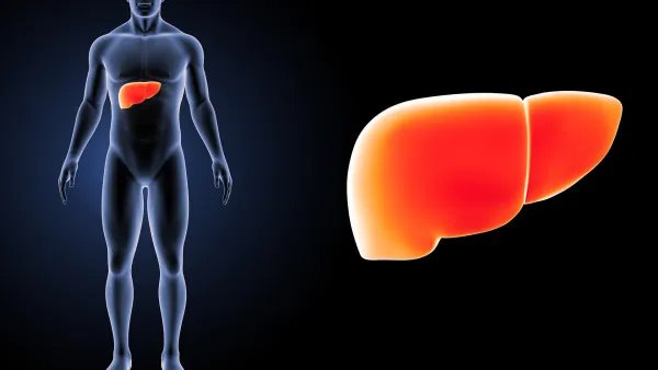 中度脂肪肝的症状