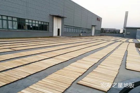 终于知道柚木地板为什么这么贵？