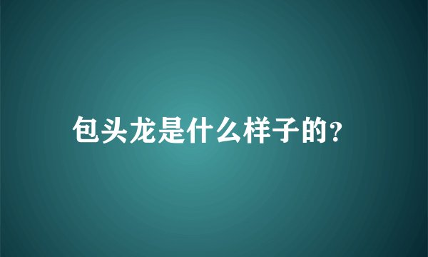 包头龙是什么样子的？