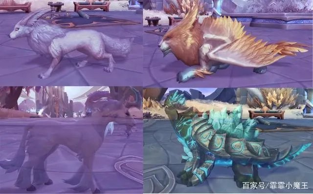 魔兽世界9.0猎人宠物排行攻略