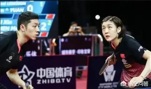 日公赛和朱雨玲搭档夺冠后，许昕为何表示希望把奖牌送给陈梦？