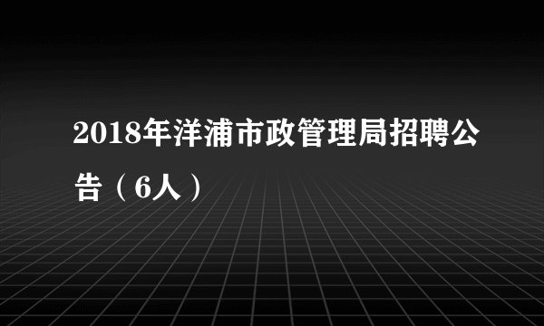 2018年洋浦市政管理局招聘公告（6人）