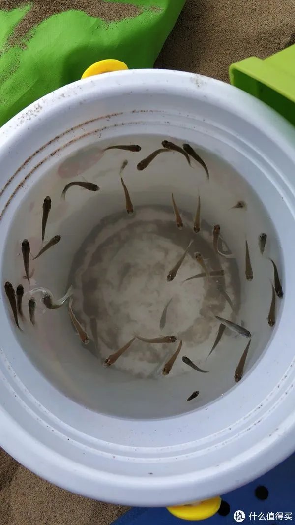 北戴河阿尔卡迪亚滨海度假酒店