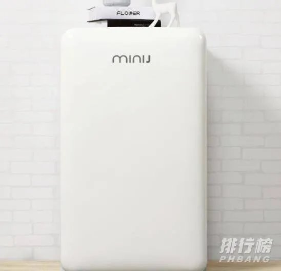 小冰箱哪个牌子性价比高_小型冰箱性价比排行榜