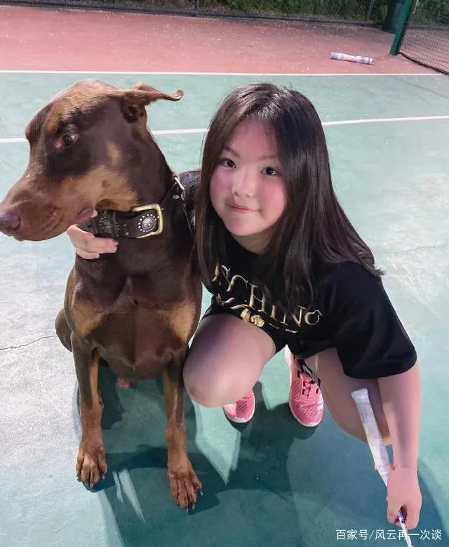 王岳伦道歉后表白被原谅？同样是女强人的李湘和顾佳差在哪？