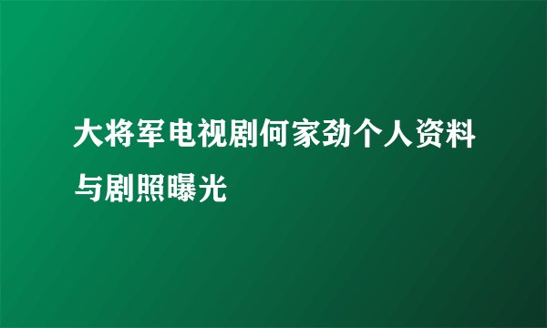 大将军电视剧何家劲个人资料与剧照曝光
