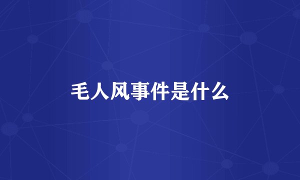 毛人风事件是什么