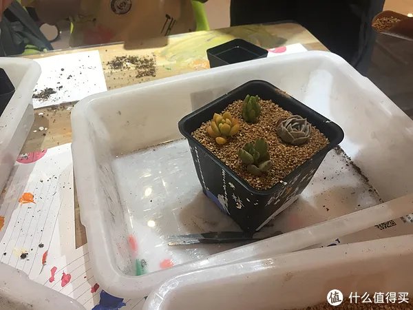 父亲节手工礼物怎么做
