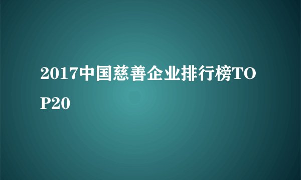 2017中国慈善企业排行榜TOP20