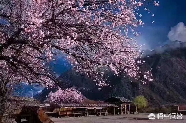 去林芝旅游，有哪些攻略呢？