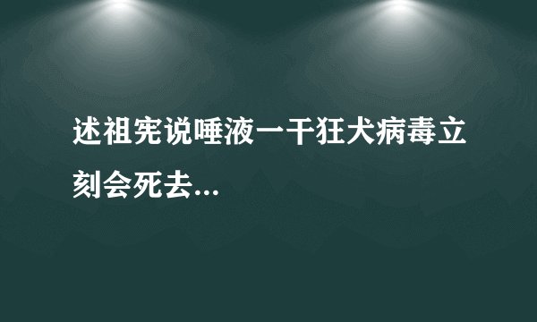 述祖宪说唾液一干狂犬病毒立刻会死去...