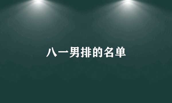 八一男排的名单