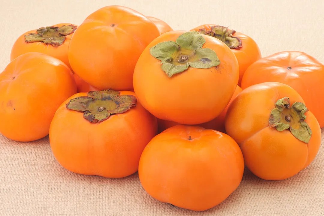 柿子饼的功效与作用