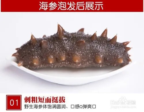 海参怎么泡发?海参泡发详解
