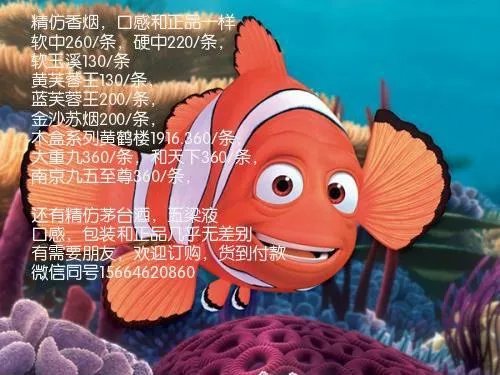 新郎酒的价格表