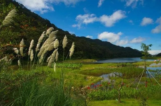 五一从化一日游去哪合适？