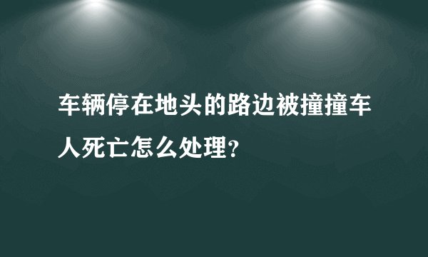 车辆停在地头的路边被撞撞车人死亡怎么处理？