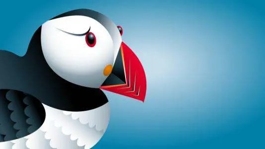 puffin浏览器怎么用