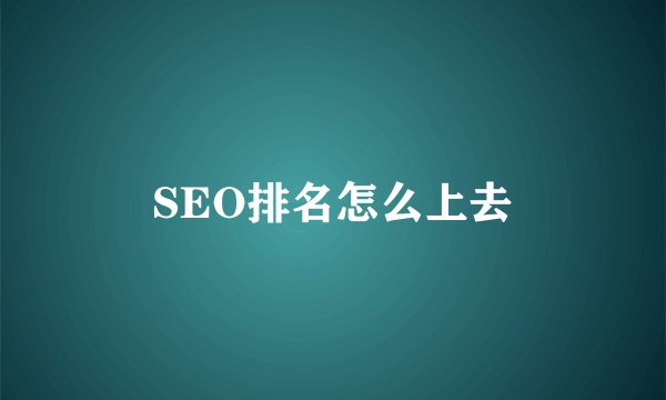 SEO排名怎么上去