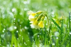 《孽缘》贾二虎温如玉小说全文完结版阅读