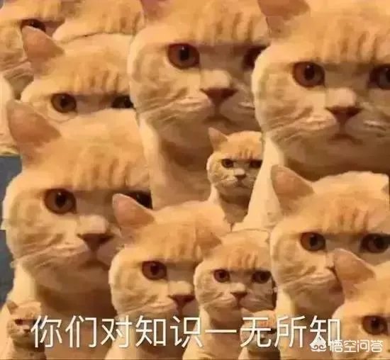 谁有软萌的男生头像？