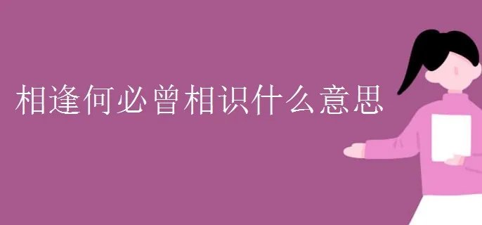 相逢何必曾相识什么意思