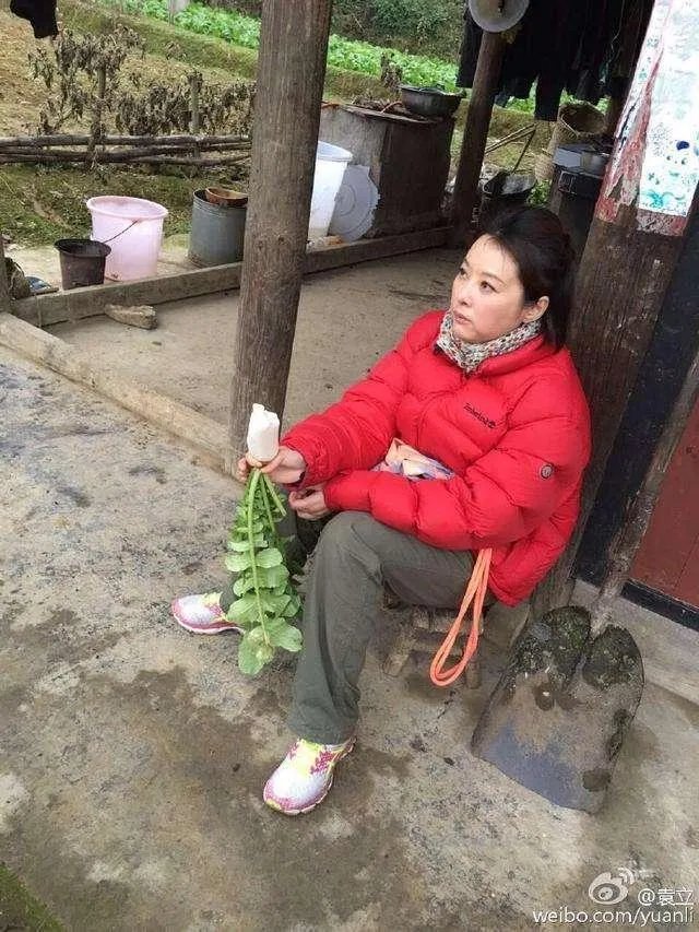 为什么大多人都挺袁立，事实真相是什么？