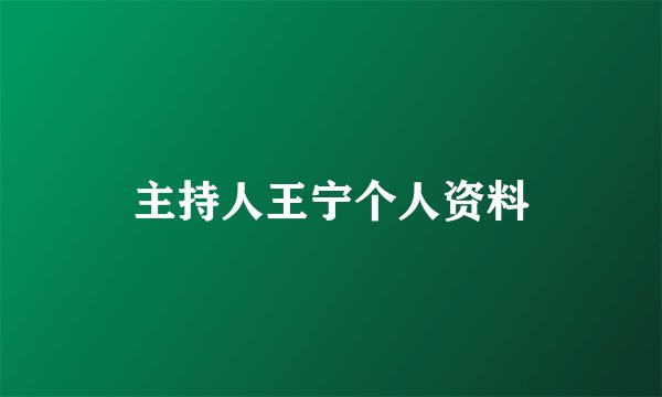主持人王宁个人资料