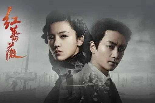 红蔷薇背景故事