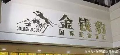 沈阳当年的金钱豹为什么黄了？