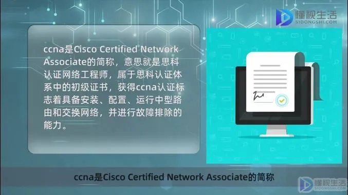 ccna是代表什么