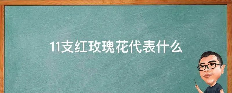 11支红玫瑰花代表什么