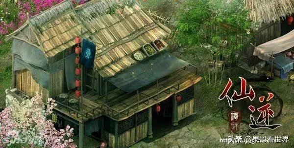 逆仙王林渡劫时看到了自己