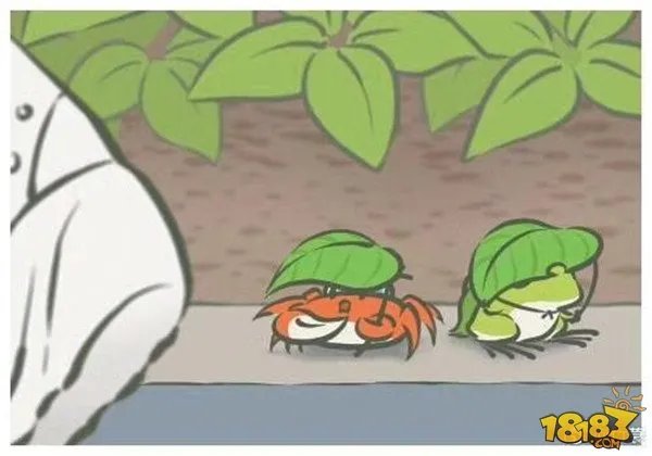 旅行青蛙写真大全 旅行照片寄语全收录