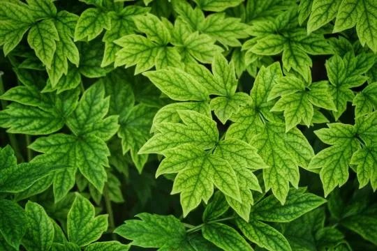 使用佳能微单M6是一种什么体验？