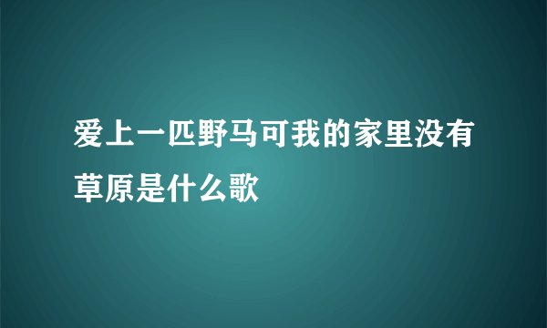 爱上一匹野马可我的家里没有草原是什么歌