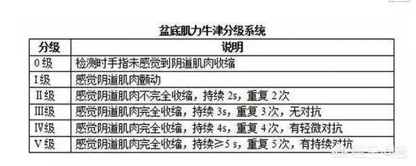 最近，我们最爱的Ella曝出产后膀胱脱垂、尿失禁，宝妈有什么方法可以进行恢复？