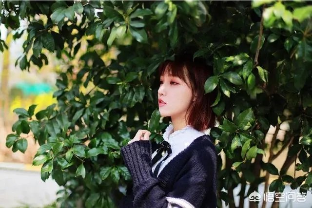 杭州的太子湾公园好玩吗？是否值得周末去玩？