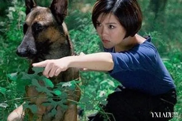 电视剧神犬奇兵结局步枪死了吗？分析神犬们的命运
