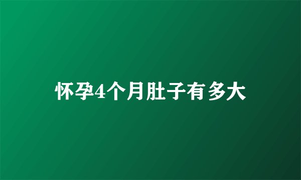 怀孕4个月肚子有多大