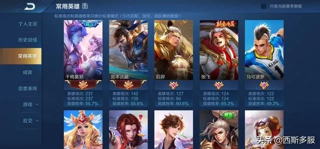 花木兰“冠军飞将”皮肤是否值得入手？有何建议？