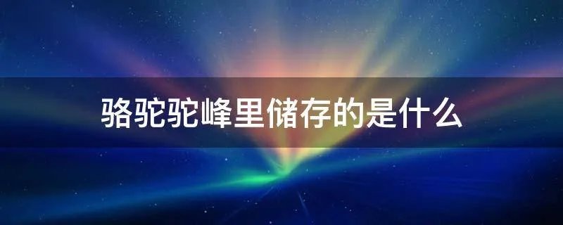 骆驼驼峰里储存的是什么