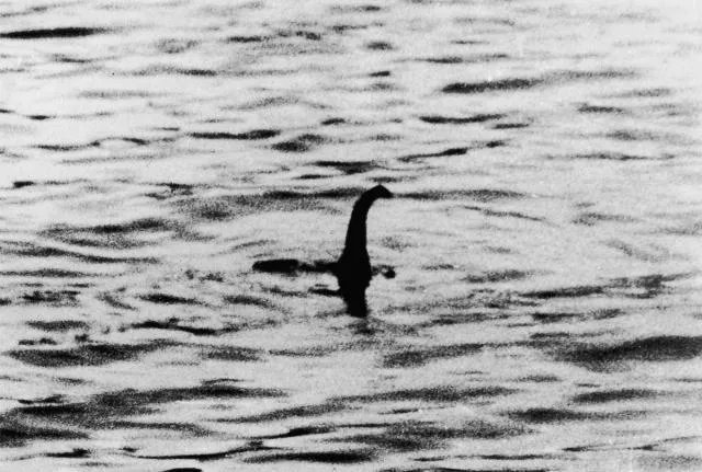 长白山天池与尼斯湖的水怪是不是恐龙的后代？