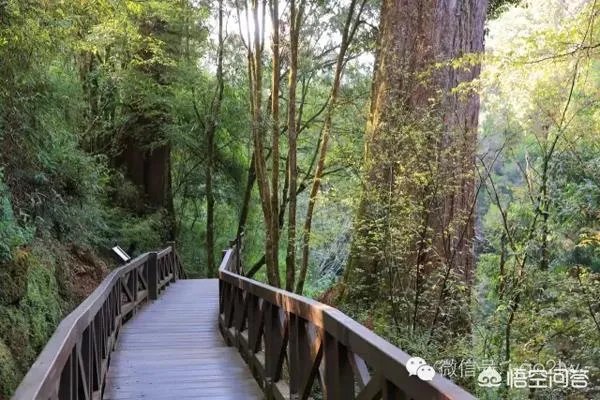 台湾的阿里山有什么传说吗？
