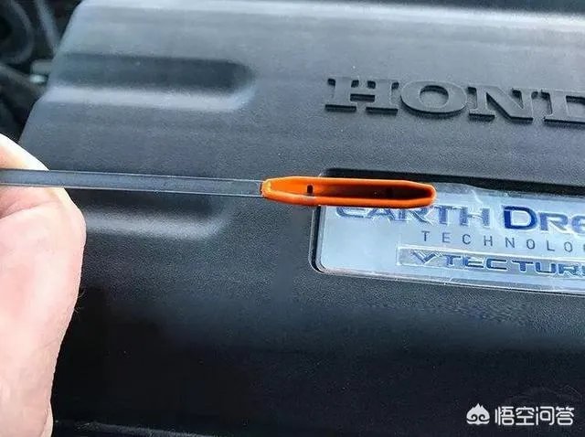 本田车怎么样？