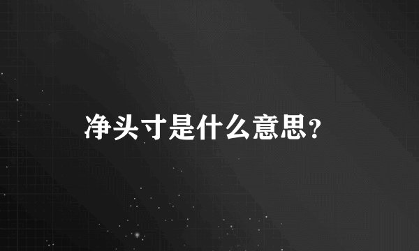 净头寸是什么意思？
